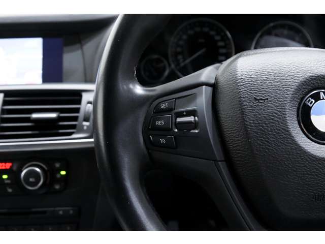 ＢＭＷ Ｘ３ Ｘドライブ２８Ｉ Ｍスポーツパッケージ ４ＷＤ H24年 (関東) 99