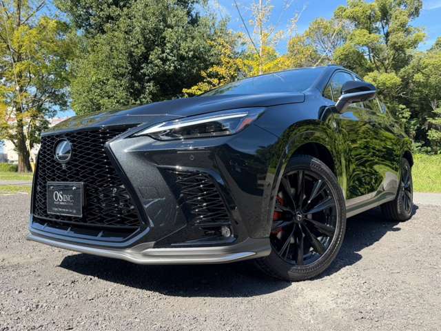 レクサス ＮＸ３５０ｈ Ｆスポーツ R7年 (近畿) 99