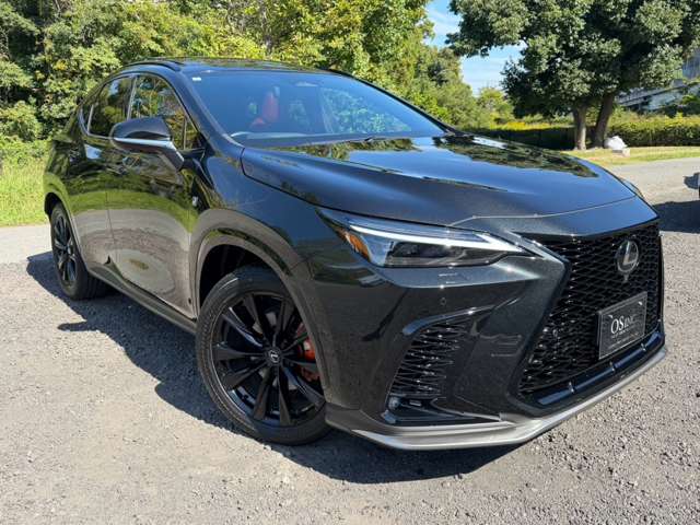 レクサス ＮＸ３５０ｈ Ｆスポーツ R7年 (近畿) 99