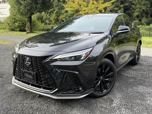 レクサス ＮＸ３５０ｈ Ｆスポーツ R5年 (近畿) 99
