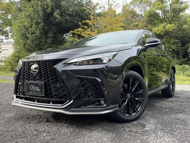 レクサス ＮＸ３５０ｈ Ｆスポーツ R5年 (近畿) 99