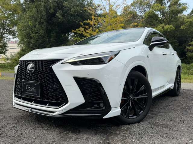 レクサス ＮＸ３５０ｈ Ｆスポーツ R5年 (近畿) 99
