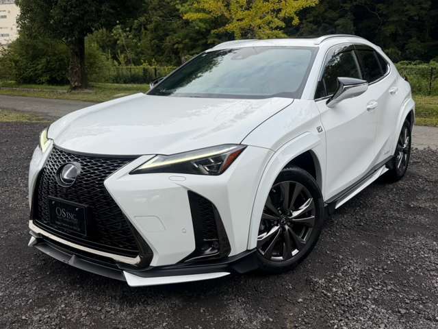 レクサス ＵＸ２５０ｈ Ｆスポーツ R3年 (近畿) 99