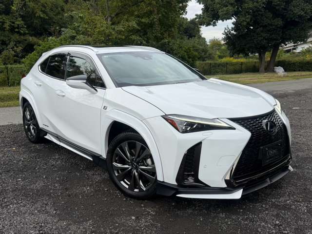 レクサス ＵＸ２５０ｈ Ｆスポーツ R3年 (近畿) 99