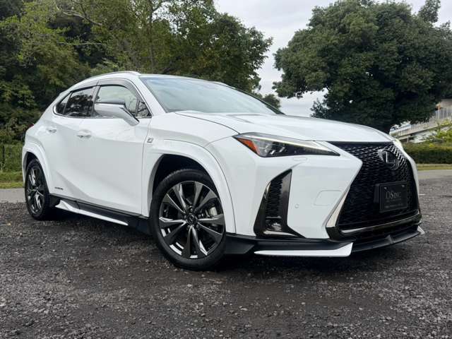 レクサス ＵＸ２５０ｈ Ｆスポーツ R3年 (近畿) 99