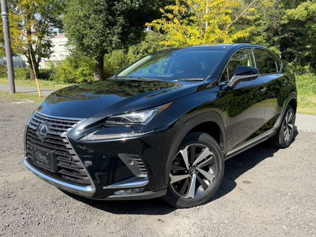 レクサス ＮＸ３００ｈ バージョンＬ H30年 (近畿) 99