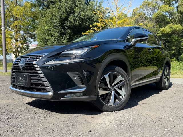 レクサス ＮＸ３００ｈ バージョンＬ H30年 (近畿) 99