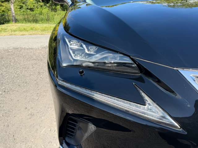 レクサス ＮＸ３００ｈ バージョンＬ H30年 (近畿) 99