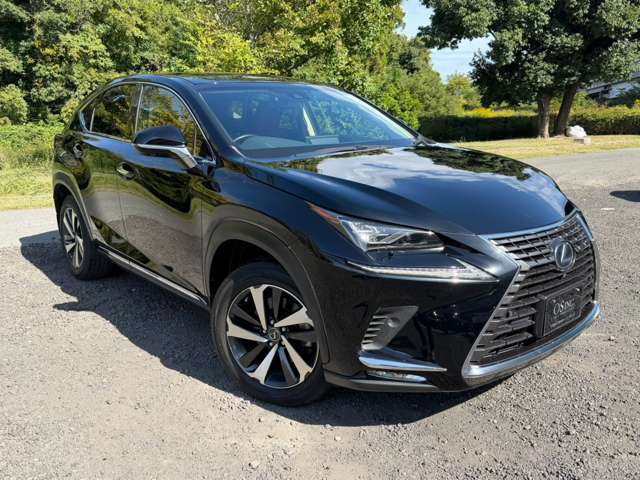 レクサス ＮＸ３００ｈ バージョンＬ H30年 (近畿) 99