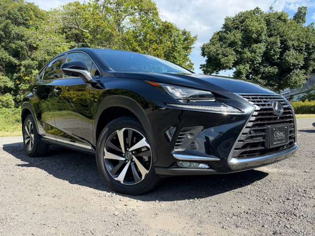 レクサス ＮＸ３００ｈ バージョンＬ H30年 (近畿) 99