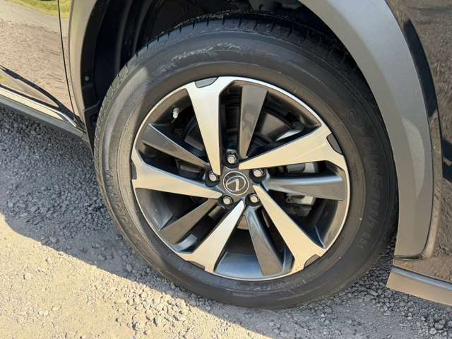 レクサス ＮＸ３００ｈ バージョンＬ H30年 (近畿) 99