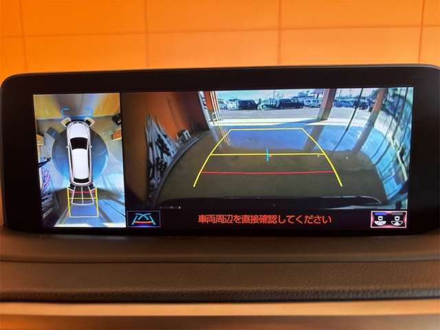 レクサス ＲＸ３００ バージョンＬ R3年 (近畿) 99