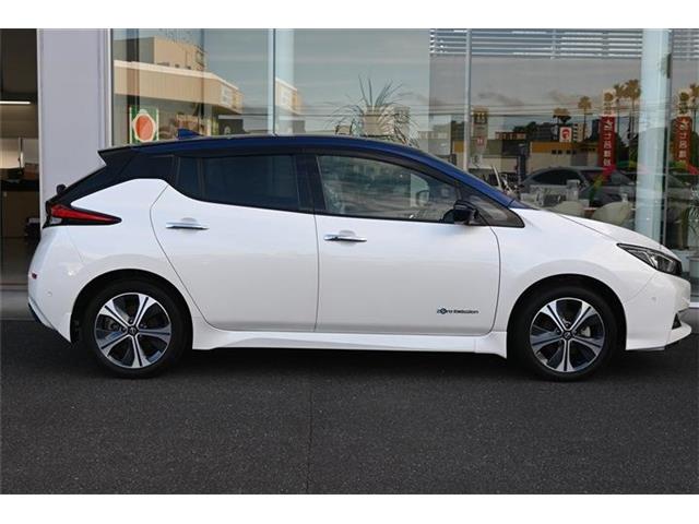 日産 リーフ Ｇ R4年 (九州・沖縄) 99
