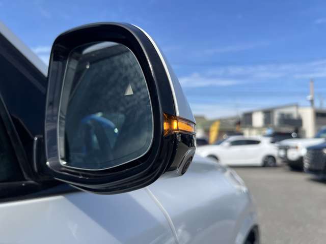 ＢＭＷ Ｘ５ Ｘドライブ ４０Ｄ Ｍスポーツ ４ＷＤ R5年 (東海) 99