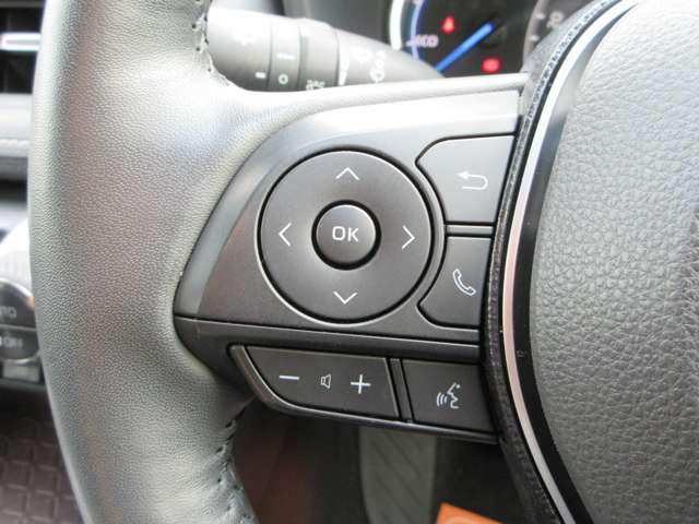 トヨタ ＲＡＶ４ ２．５ ハイブリッド Ｇ Ｅ－ＦＯＵＲ ４ＷＤ R3年 (近畿) 99