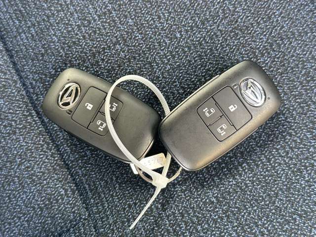 ダイハツ ムーヴ　キャンバス ６６０ セオリー Ｇ R7年 (東海) 99