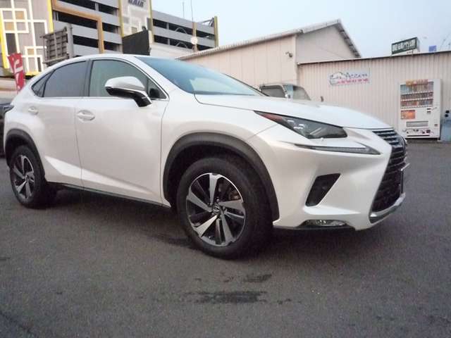 レクサス ＮＸ３００ Ｉパッケージ H30年 (中国) 99
