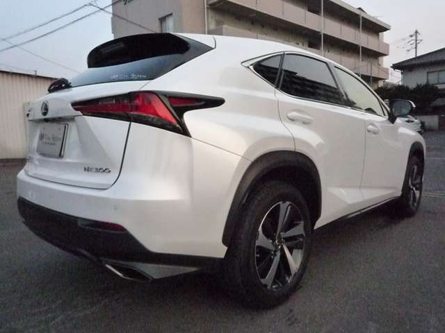 レクサス ＮＸ３００ Ｉパッケージ H30年 (中国) 99