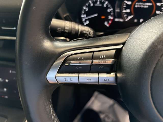 マツダ ＭＸ−３０ ２．０ R3年 () 99