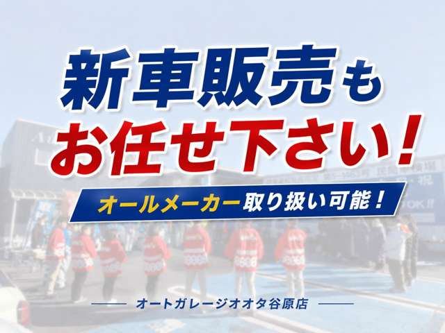 日産 クリッパーバン ６６０ ＤＸ ハイルーフ H19年 (関東) 99