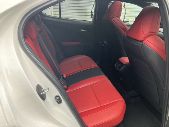 レクサス ＵＸ３００ｈ Ｆスポーツ R6年 (近畿) 99