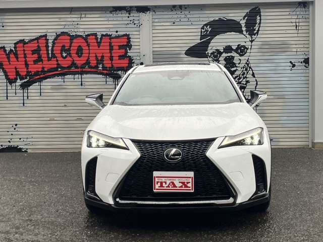 レクサス ＵＸ３００ｈ Ｆスポーツ R6年 (近畿) 99