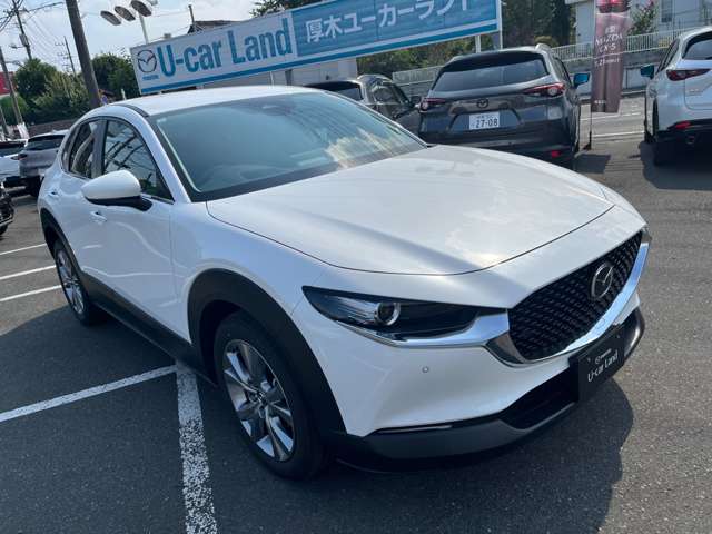 マツダ ＣＸ−３０ ２．０ ２０Ｓ Ｉ セレクション R7年 (関東) 99