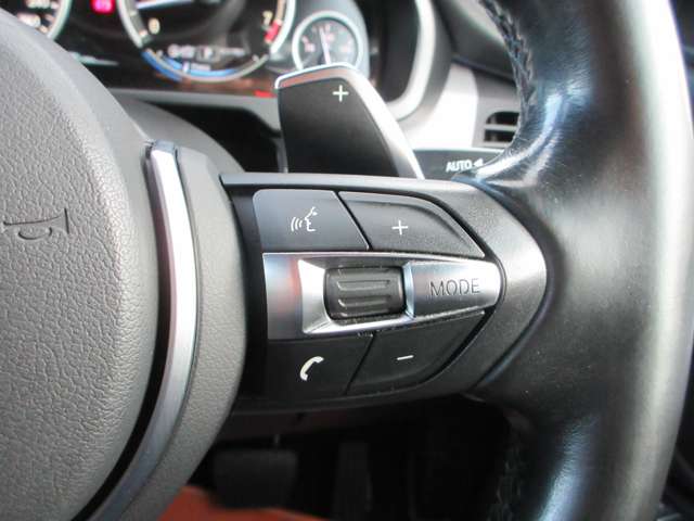 ＢＭＷ Ｘ６ Ｘドライブ ３５Ｉ Ｍスポーツ ４ＷＤ H27年 (近畿) 99