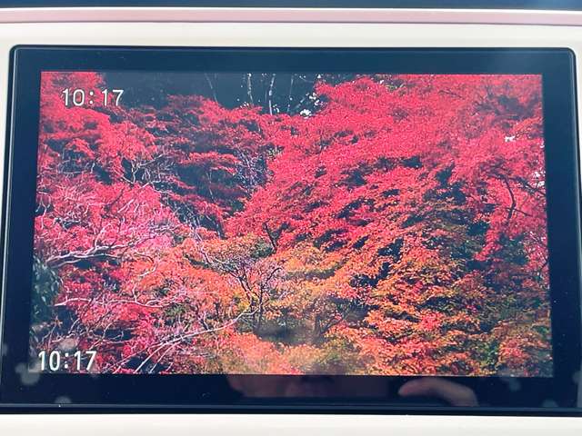 ダイハツ ムーヴ　キャンバス ６６０ Ｇ ホワイトアクセント リミテッド ＳＡＩＩＩ R2年 () 99