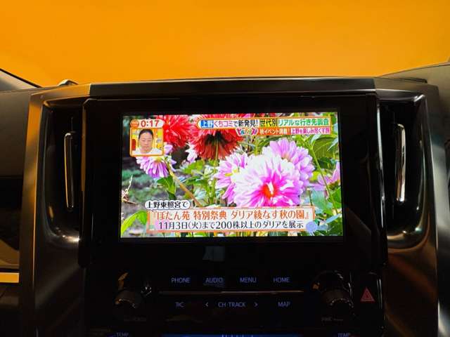 トヨタ アルファード ２．５ Ｓ Ｃパッケージ R5年 () 99