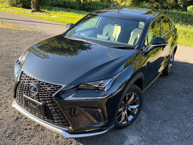 レクサス ＮＸ３００ｈ Ｆスポーツ H30年 (近畿) 99