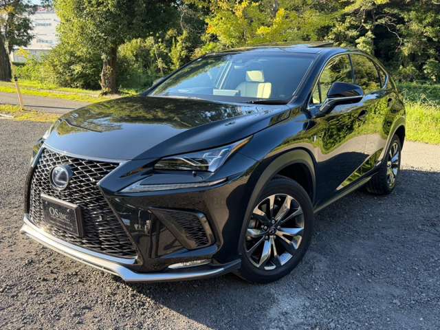 レクサス ＮＸ３００ｈ Ｆスポーツ H30年 (近畿) 99