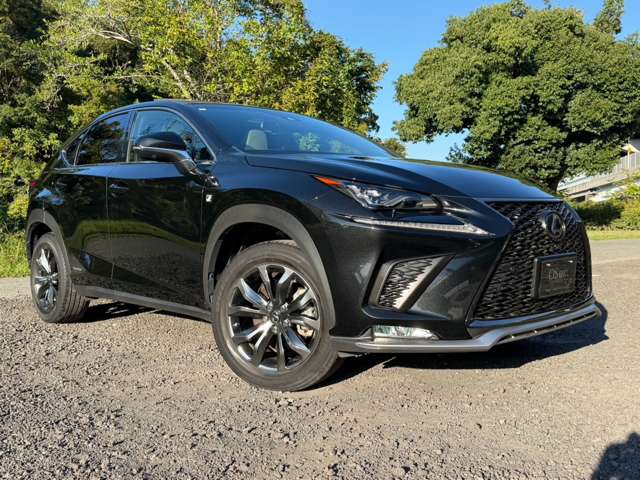 レクサス ＮＸ３００ｈ Ｆスポーツ H30年 (近畿) 99
