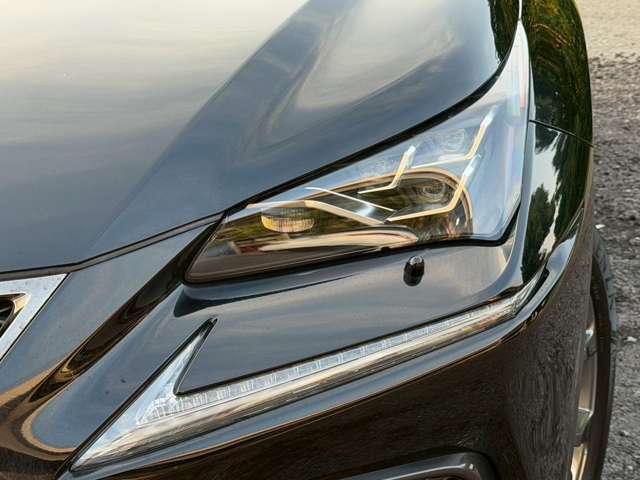 レクサス ＮＸ３００ｈ Ｆスポーツ H30年 (近畿) 99