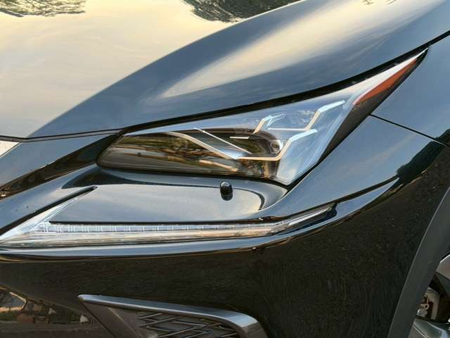 レクサス ＮＸ３００ｈ Ｆスポーツ H30年 (近畿) 99