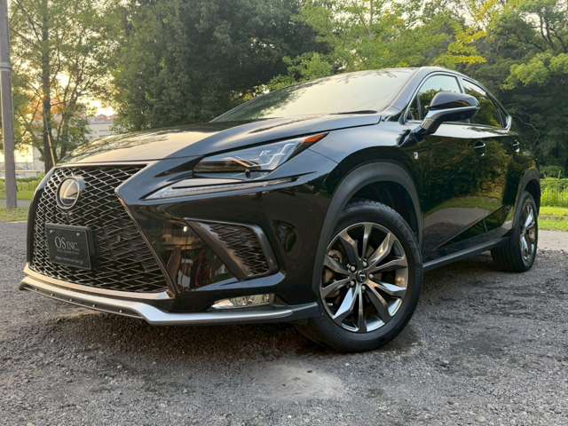 レクサス ＮＸ３００ｈ Ｆスポーツ H30年 (近畿) 99