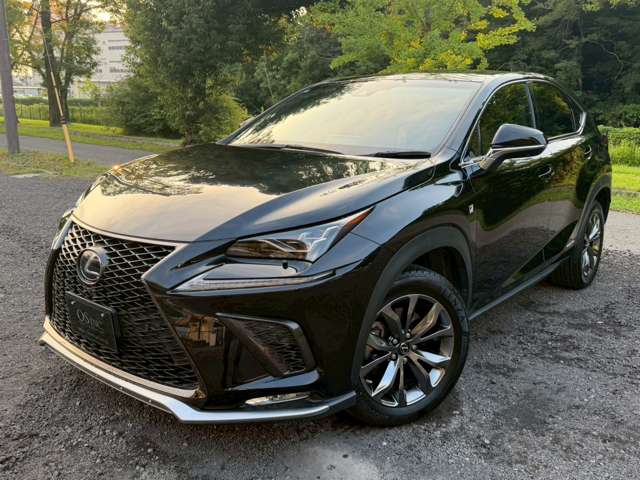 レクサス ＮＸ３００ｈ Ｆスポーツ H30年 (近畿) 99