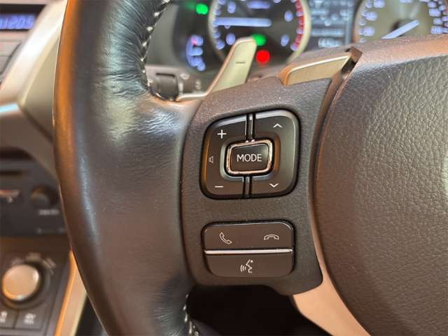 レクサス ＮＸ３００ｈ バージョンＬ H27年 (近畿) 99