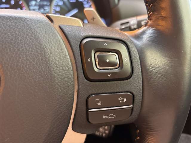 レクサス ＮＸ３００ｈ バージョンＬ H27年 (近畿) 99