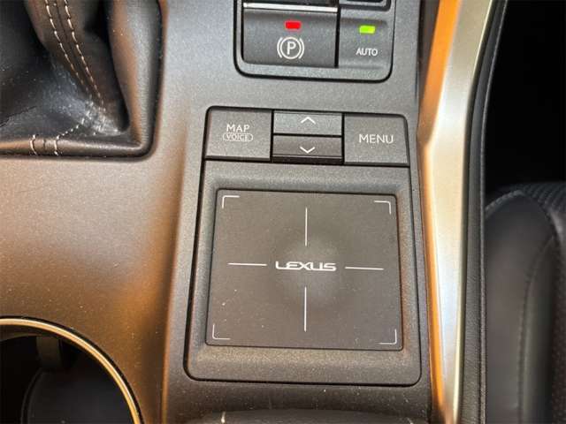 レクサス ＮＸ３００ｈ バージョンＬ H27年 (近畿) 99
