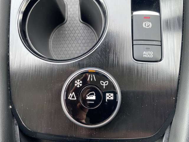 日産 エクストレイル １．５ Ｇ Ｅ－４ＯＲＣＥ ４ＷＤ R4年 (中国) 99