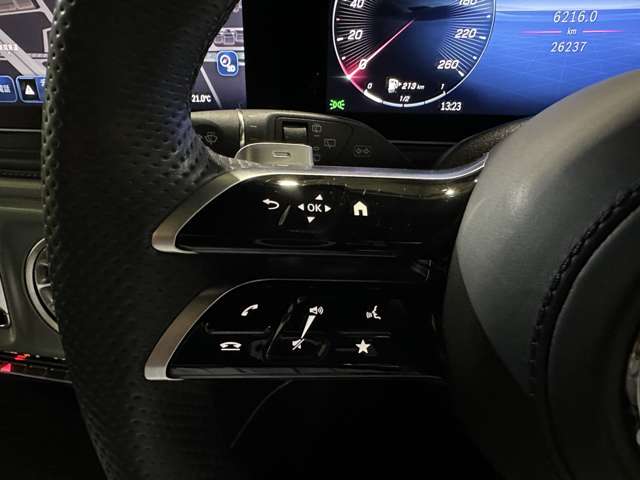 メルセデスベンツ Ｇクラス Ｇ４５０Ｄ ＡＭＧラインパッケージ （ＩＳＧ） ディーゼルターボ ４ＷＤ ＭＰ２０２５０１ R6年 () 99