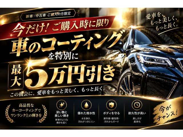 トヨタ アルファード ２．５ Ｓ Ａパッケージ H29年 () 99