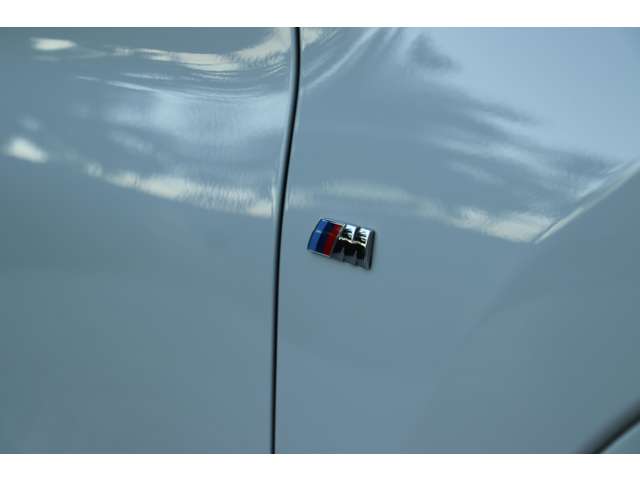 ＢＭＷ Ｘ１ Ｘドライブ １８Ｄ Ｍスポーツ ４ＷＤ H30年 () 99
