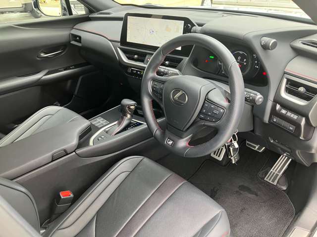 レクサス ＵＸ２５０ｈ Ｆスポーツ R5年 (関東) 99
