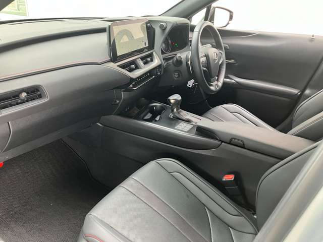 レクサス ＵＸ２５０ｈ Ｆスポーツ R5年 (関東) 99