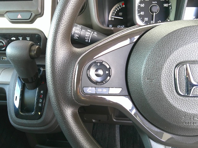 ホンダ Ｎ−ＷＧＮ ６６０ Ｌ R5年 (関東) 99