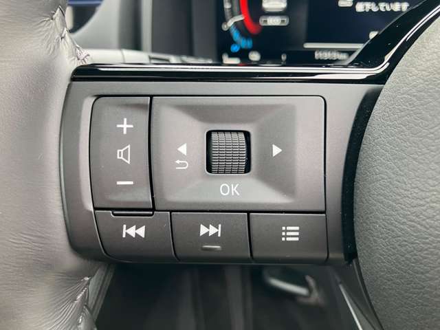 日産 エクストレイル １．５ Ｇ Ｅ－４ＯＲＣＥ ４ＷＤ R5年 (関東) 99