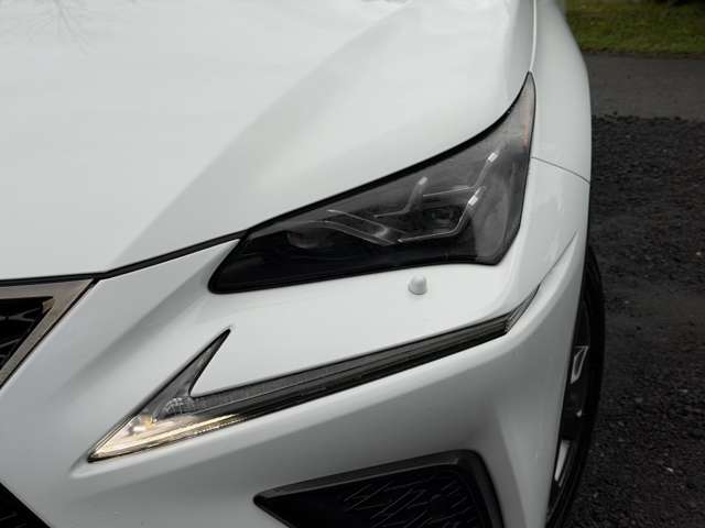 レクサス ＮＸ３００ｈ Ｆスポーツ R1年 () 99
