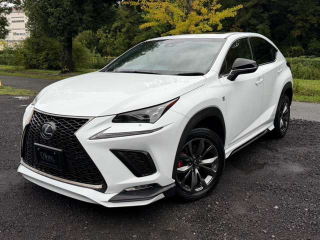 レクサス ＮＸ３００ｈ Ｆスポーツ R1年 () 99